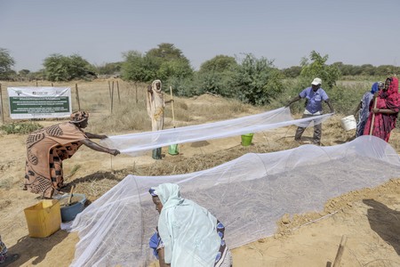 Promouvoir l'agroécologie pour une agriculture durable en Mauritanie par AMAD/CERAI