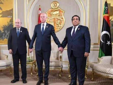 Sommet Algérie-Tunisie-Libye de Tunis : que cache l’absence de la Mauritanie ?