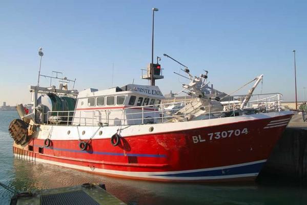 L’ONG mauritanienne Zakia dénonce le pillage des navires turcs