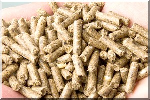 Des aliments de bétail périmés