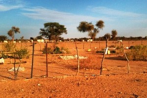 Mauritanie : un nouvel ouvrage pour l'irrigation de grands périmètres agricoles à Trarza