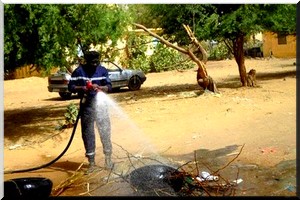 Boghé : les hommes  du Feu ont célébré la journée internationale de la protection civile -  [PhotoReportage]