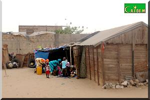 Les gazras resurgissent dans zones loties à Nouakchott