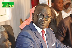 Entretien avec...Amadou Tidjane Diop, président du FRUD et membre du Conseil des présidents de la CVE*