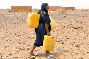 En Mauritanie, l’enjeu électoral de l’eau