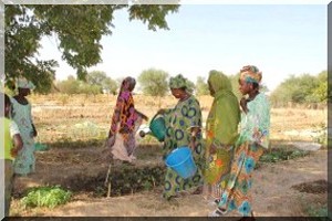 Plaidoyer pour la Sécurité Alimentaire au Guidimakha: promotion et encadrement des investissements de privés locaux