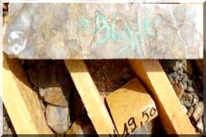 Mauritanie : Algold fait une estimation de ressources minérales pour son projet d’or Tijirit 