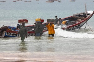 Mauritanie: mouvement de protestation dans la filière de la pêche artisanale