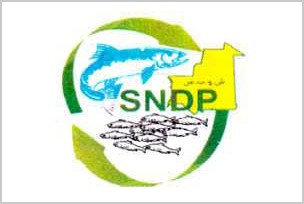 La SNDP ouvre 103 points de distribution de poisson à Nouakchott