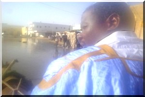 Un nouveau moyen de transport à Nouakchott : les charrettes-taxis-pirogues