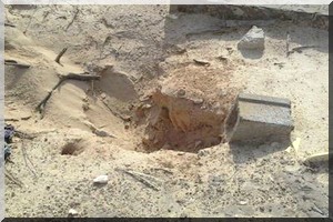 Cimetière des enfants : un lieu de pitance pour des chiens errants