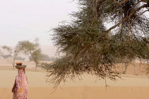 Mauritanie : le tourisme de retour aux sources sahariennes