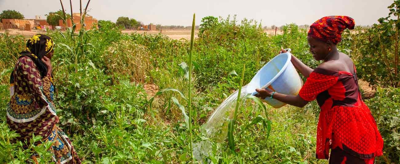 Mauritanie : le Groupe de la Banque africaine de développement accorde un don de 17 millions de dollars