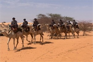Mauritanie: l'UE a financé l'achat de chameaux pour le groupement nomade