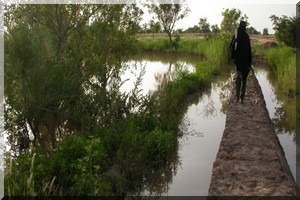 Mauritanie : 20 millions d’ouguiya pour appuyer les agriculteurs traditionnels 