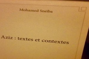 Réponse d’un « journuliste » à un avocat : Ce que Noueigued et MSS n’ont pas dit