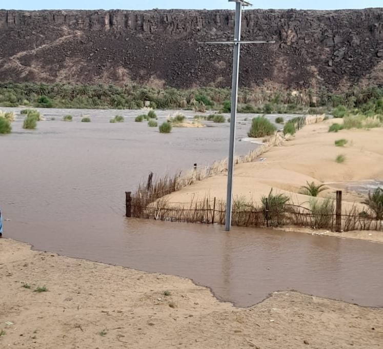 Adrar/Urgent : les habitants de Oued Seguelil désemparés, interpellent les autorités