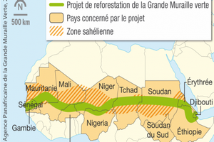 Colloque de haut niveau sur le bilan de l'Agence panafricaine de la Grande Muraille Verte