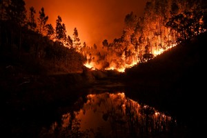 Portugal: un gigantesque incendie de forêt fait 57 morts et 59 blessés
