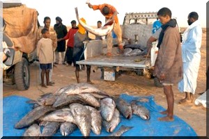 La pêche illégale, un énorme manque à gagner pour l'Afrique de l'Ouest (rapport)