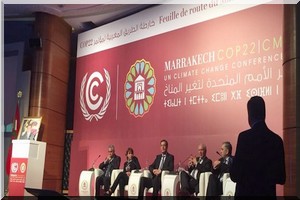 A Marrakech, l'Afrique veut parler d'une seule voix face au réchauffement