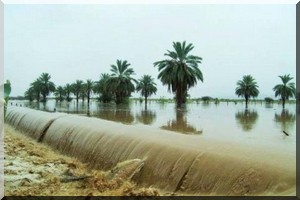 Des pluies sans précédent en Adrar… dégâts humains et matériels