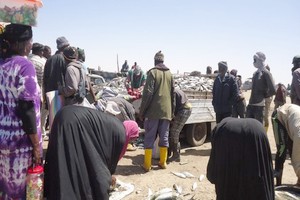 Crise économique et financière en Mauritanie: Initiatives d’actions destinées à atténuer les effets sur les femmes travailleuses