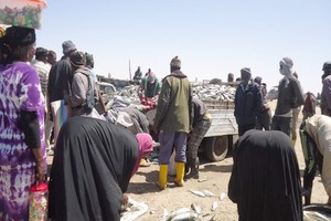 Mettre les pêcheurs artisanaux mauritaniens aux normes du marché international [PhotoReportage]