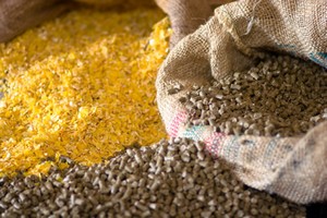 Mauritanie: Hausse de plus de 40% des prix des aliments de bétail