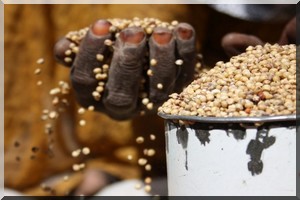 FAO : la Mauritanie a besoin d’une aide alimentaire
