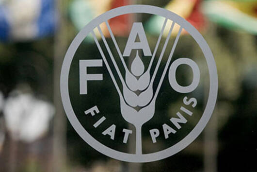 Quarante-cinq pays majoritairement d’Afrique ont besoin d’une aide alimentaire extérieure (FAO)