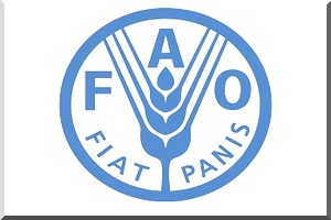 FAO : Les conflits et les crises prolongées entravent les progrès réalisés pour lutter contre la faim au Proche-Orient et en Afrique du Nord