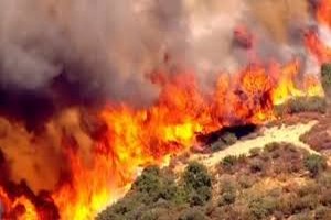 Feux de brousse en Mauritanie : 479.000 ha détruits chaque année