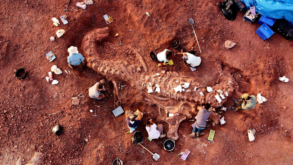 VIDÉO. 25 jours dans le désert du Niger à la recherche de fossiles de dinosaures