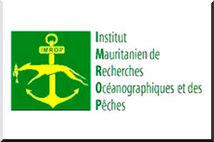 Communiqué de presse : Les techniciens supérieurs de l’institut Mauritanien de Recherches Océanographiques et des Pêches IMROP protestent