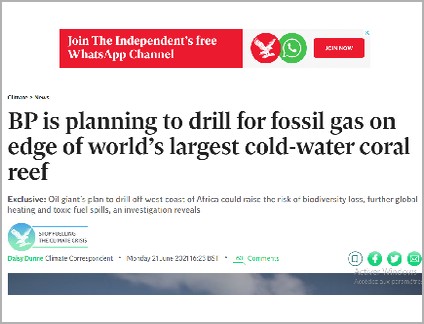 «The Independent» accuse Bp de faire courir des risques environnementaux au récif corallien en Afrique de l’Ouest