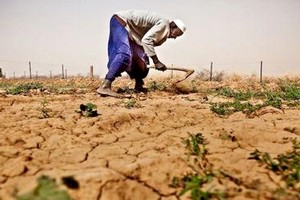 Mauritanie: Une commission interministérielle planche sur le plan à adopter face au déficit pluviométrique 