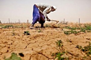 Mauritanie: Une commission interministérielle planche sur le plan à adopter face au déficit pluviométrique
