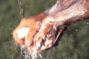 Le lavage des mains, geste simple et salutaire