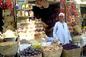 Mauritanie – CEDEAO Le « Oui - Mais » de la Mauritanie