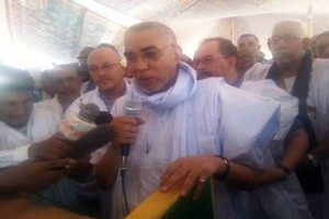 Ould Hademine : « les opposants aux amendements n’ont aucune justification »