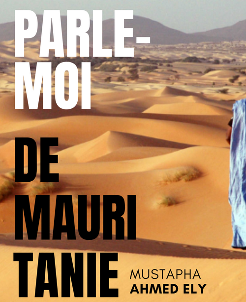 Parle-moi de Mauritanie : Terre des hommes, de grandeur. Par Pr ELY Mustapha