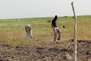 Convention sur le travail forcé : une première étude vers la promotion du travail décent en Mauritanie