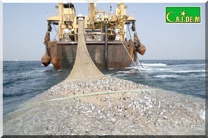 Économie | Pêche. Évaluation à l’INGRMC. La Mauritanie, bon élève [PhotoReportage]