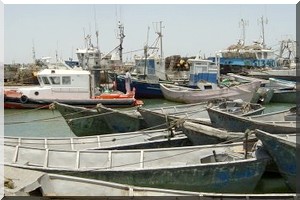  Appui multiforme du Japon au secteur de la pêche en Mauritanie