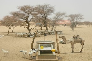 ROSA et SUN-Mauritanie inquiets face à la situation sylvo-agro-pastorale et nutritionnelle en Mauritanie