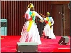Exposition Shanghai 2010 : La Mauritanie à l'honneur [Reportage Photos]