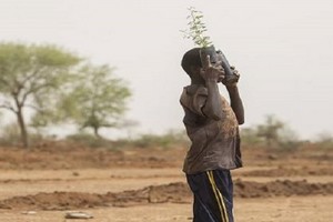 Sahel : Une économie moribonde