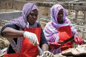 Soutenir l’activité des marchandes de poisson en Mauritanie