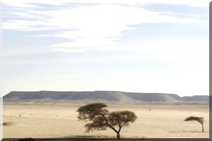 Livres : le Sahara, à la vie, à la mort 